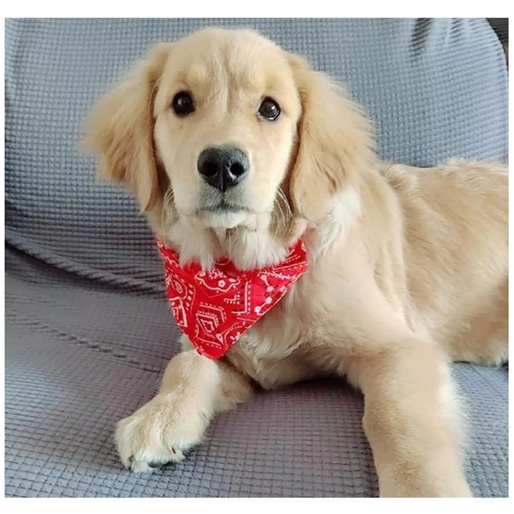 Aesthetic Pet Bandana Collar — 20+ Colors, All Sizes