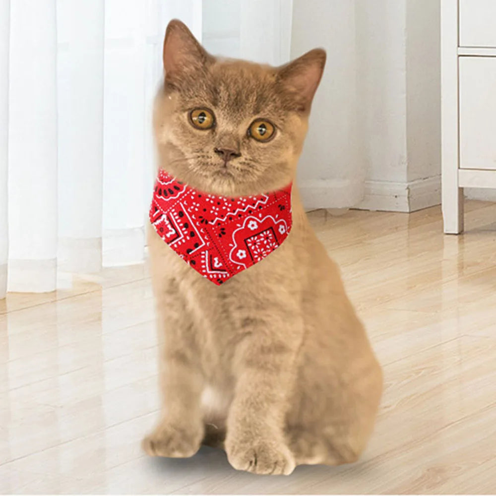 Aesthetic Pet Bandana Collar — 20+ Colors, All Sizes
