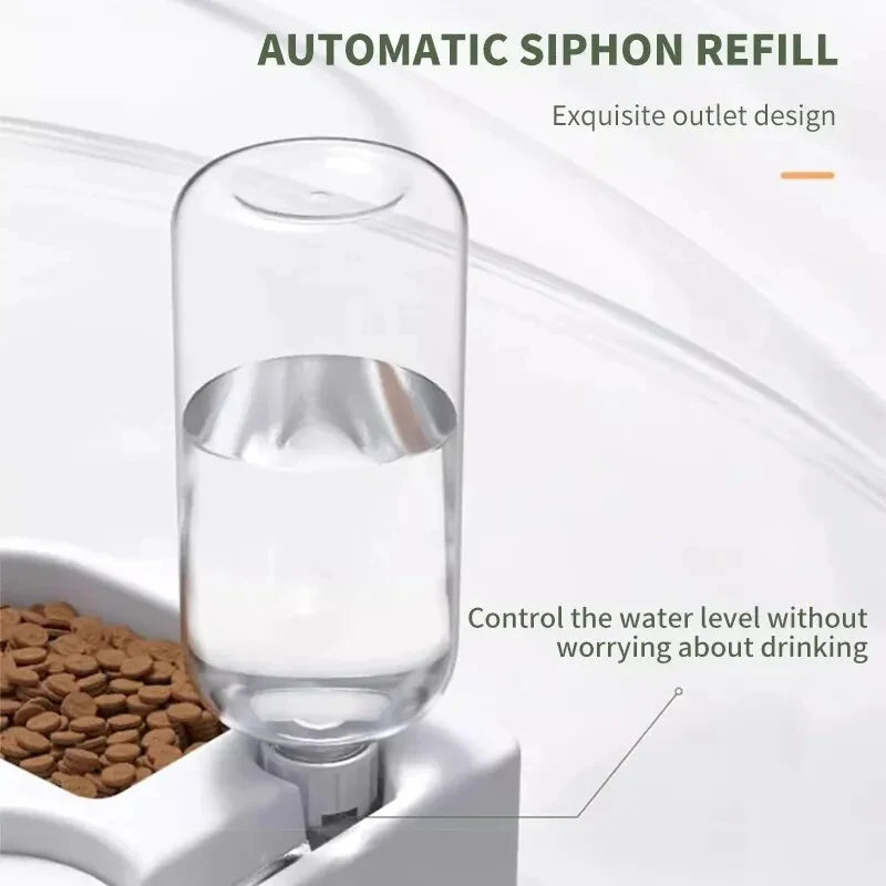 Elevated Auto-Fill Pet Bowl — Non-Slip Dual Feeder