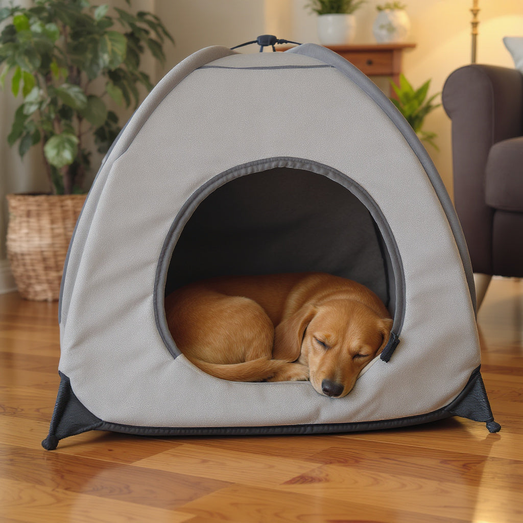 Golden dachshund sleeping inside grey fabric pet tent house